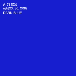 #171ED0 - Dark Blue Color Image