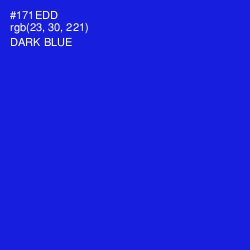 #171EDD - Dark Blue Color Image