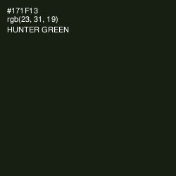 #171F13 - Hunter Green Color Image