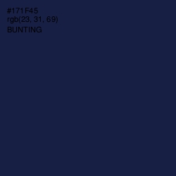 #171F45 - Bunting Color Image