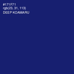 #171F71 - Deep Koamaru Color Image