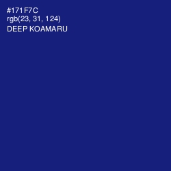 #171F7C - Deep Koamaru Color Image