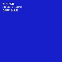 #171FCB - Dark Blue Color Image