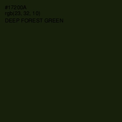 #17200A - Deep Forest Green Color Image