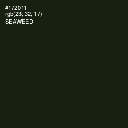 #172011 - Seaweed Color Image