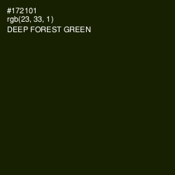 #172101 - Deep Forest Green Color Image