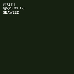 #172111 - Seaweed Color Image