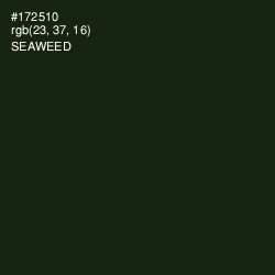 #172510 - Seaweed Color Image