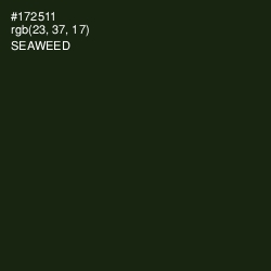 #172511 - Seaweed Color Image