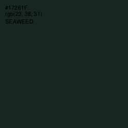 #17261F - Seaweed Color Image