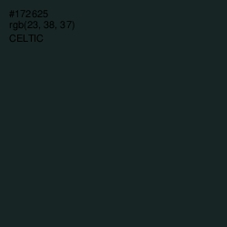 #172625 - Celtic Color Image