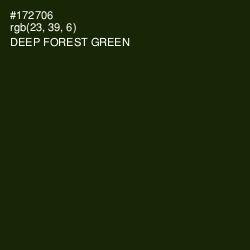 #172706 - Deep Forest Green Color Image