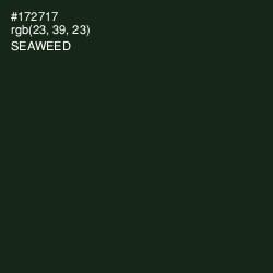 #172717 - Seaweed Color Image