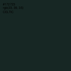 #172723 - Celtic Color Image