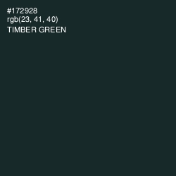#172928 - Timber Green Color Image