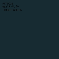 #172C32 - Timber Green Color Image