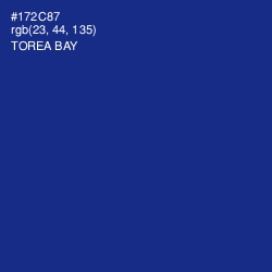 #172C87 - Torea Bay Color Image