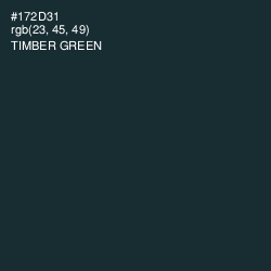 #172D31 - Timber Green Color Image