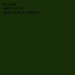 #172E08 - Deep Forest Green Color Image