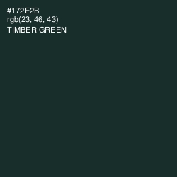 #172E2B - Timber Green Color Image