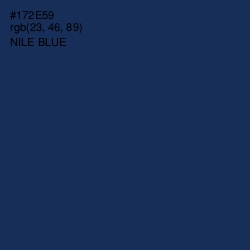 #172E59 - Nile Blue Color Image