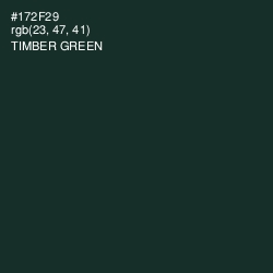 #172F29 - Timber Green Color Image