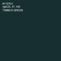 #172F31 - Timber Green Color Image