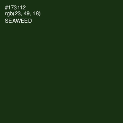 #173112 - Seaweed Color Image