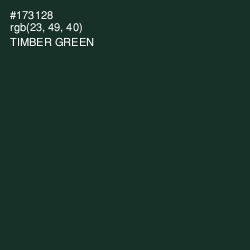 #173128 - Timber Green Color Image