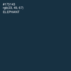 #173143 - Elephant Color Image