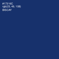 #17316C - Biscay Color Image