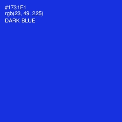 #1731E1 - Dark Blue Color Image