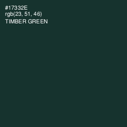 #17332E - Timber Green Color Image