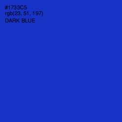 #1733C5 - Dark Blue Color Image