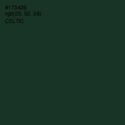 #173426 - Celtic Color Image