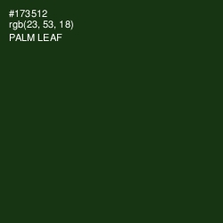#173512 - Palm Leaf Color Image