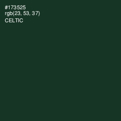 #173525 - Celtic Color Image