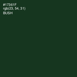 #17361F - Bush Color Image
