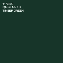 #173629 - Timber Green Color Image