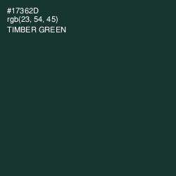 #17362D - Timber Green Color Image