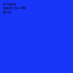 #1736F8 - Blue Color Image