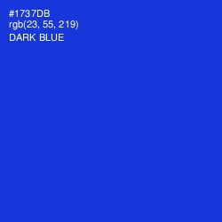 #1737DB - Dark Blue Color Image