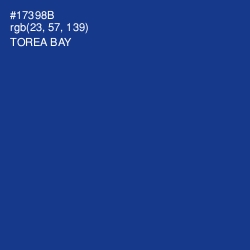 #17398B - Torea Bay Color Image