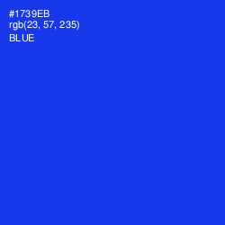 #1739EB - Blue Color Image