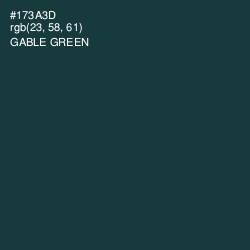 #173A3D - Gable Green Color Image