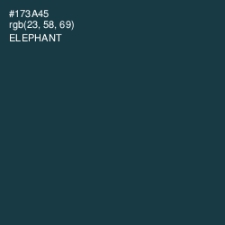 #173A45 - Elephant Color Image