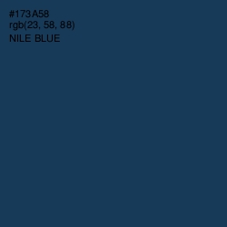 #173A58 - Nile Blue Color Image