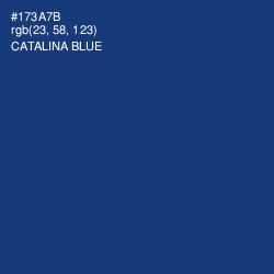 #173A7B - Catalina Blue Color Image
