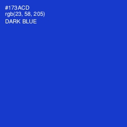 #173ACD - Dark Blue Color Image