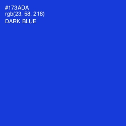 #173ADA - Dark Blue Color Image